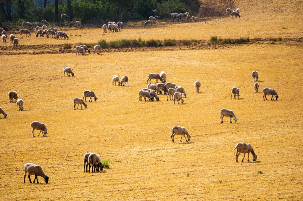 Impact of drought on Laguna Salada hydrology and ACRI 1024x682 1